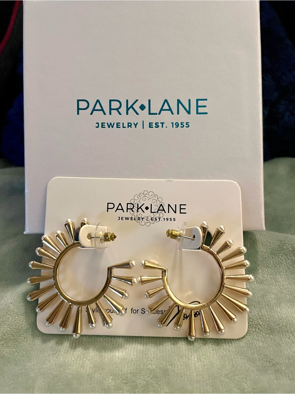 Park Lane Nash earrings